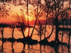 Sakarya Sapanca Gölü