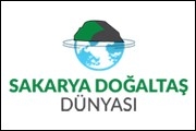 Sakarya Doğaltaş Dünyası